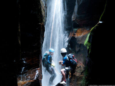 20120212-_DSC2198_DxO-1