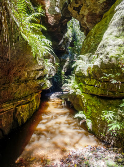 Upper Bowens Creek South Branch