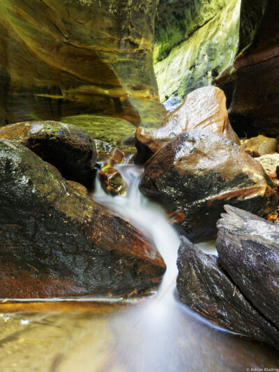 Upper Bowens Creek South Branch